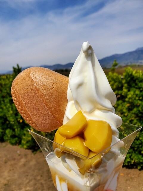 小布施パーキングエリア 下り 軽食 フードコート 小布施 郷土料理 その他 食べログ