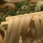 Nara Udon Fukutoku - 麺リフト
