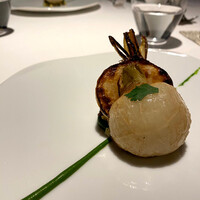 レフェルヴェソンス - 