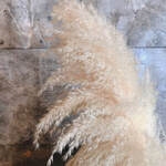 エリックス キッチン - 