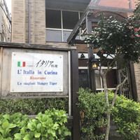 レスタジョーニ ハングリータイガー -  レスタジョーニ ハングリータイガー -