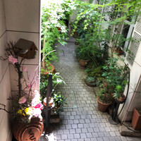 中國名菜 龍坊 代官山店 - 