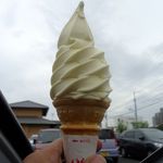 Shionoe Fujikawa Bokujou - みかんのソフトクリーム