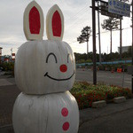 ホワイトラビット - うさぎちゃん