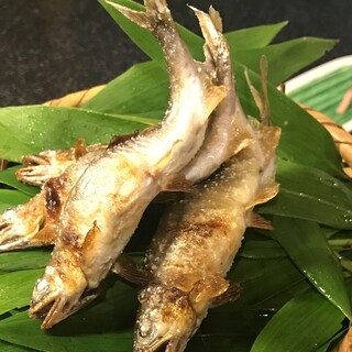 東京でランチに使えるふぐ ランキング 食べログ