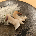 木挽町 とも樹 - みる貝の刺身