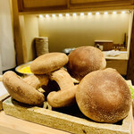 日本橋 蕎ノ字 - ■玉取茸
      ☆ 静岡市岡部町の杉山農園の椎茸。栽培中の玉取茸にモーツアルトを聞かせて育てている。