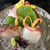 讃アプローズ - お造り