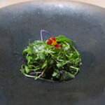 Il Lato - 15種類ハーブサラダ