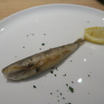 Il Lato - 銚子メヒカリ