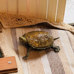 たこやき フレンド - 