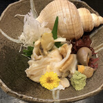 はや常 - バイ貝。