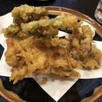 はや常 - ウド、コゴミなど春の天ぷら。