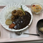 ごはん屋MaMa丸 - mama丸カレー＋イカリング（620円＋300円）