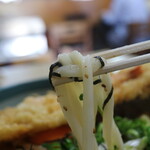 Ishiharu Udon - 