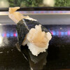 Sushikin - 