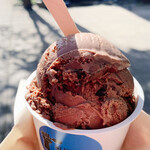 マウント デザート アイランド アイスクリーム - チョコとミントです。名前は凄くて忘れました笑