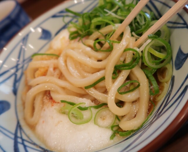 丸亀製麺 宮崎店 宮崎神宮 うどん 食べログ 丸亀製麺 宮崎店 宮崎神宮 うどん 食べログ
