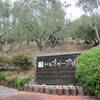小豆島オリーブ園