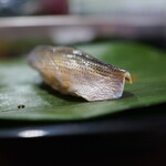 寿司正 - 料理写真:小肌