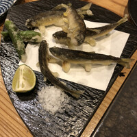 秀徳 2号店 - 稚鮎の天ぷら