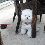 恵比寿 箸庵 - 阿部さん〜お水ありがとう♡