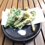 恵比寿 箸庵 - 春の山菜４種