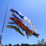 ウシマル - 屋根より高い鯉のぼり