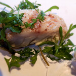 ウシマル - クロダイ