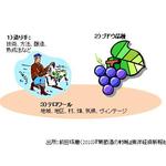 クオーレ・フォルテ - （図１）ワインの質の決定要素＜参考資料をもとに筆者作成＞