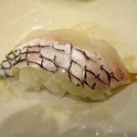 雛鮨 - 真鯛