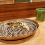 Tempura Maehira - 