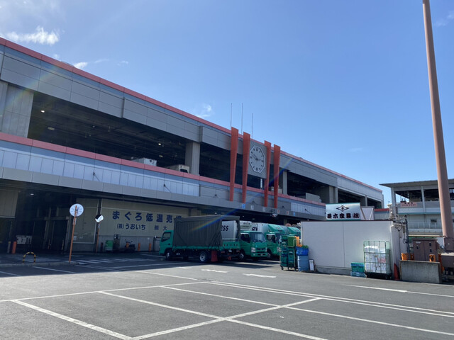 魚河岸たちばな 大阪中央卸売市場 うおがしたちばな 野田 jr 寿司 ネット予約可 食べログ 魚河岸たちばな 大阪中央卸売市場 うおがしたちばな 野田 jr 寿司 ネット予約可 食べログ