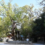 ガンツウ - 乎知命御手植の楠（おちのみことのくすのき）樹齢2600年 （天然記念物）