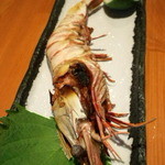 漁菜献舗 鳥新 - 2012.9.28）大えび（６８０円）