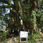 ガンツウ - 樹齢3000年の生樹の御門（いききのごもん）