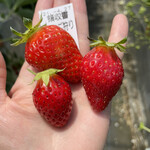 姫路ハートフル観光農園 - 