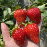 姫路ハートフル観光農園 - 