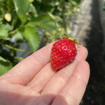 姫路ハートフル観光農園 - 