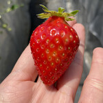 姫路ハートフル観光農園 - 