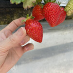 姫路ハートフル観光農園 - 