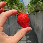 姫路ハートフル観光農園 - 