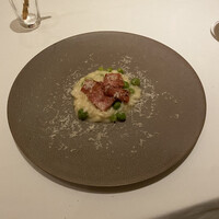ARMONICO - 