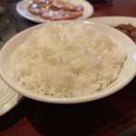 徳寿園 - 大ライス