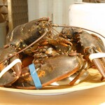 銀座 大石 - オマール海老♪