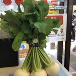 アサドレファーミ - 