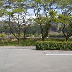 Kutsuki Asahiya - 店前の駐車場