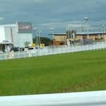 かつはな亭 - 2012,09,28