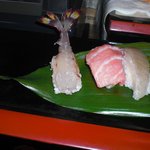 弥生寿司 - おどり、トロ、エンガワ