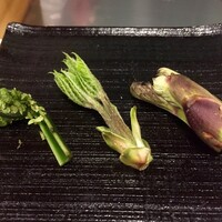 天白 - こごみ・こしあぶら・たらの芽 秋田